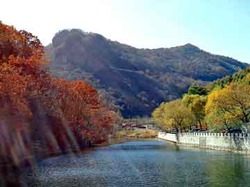 澳门二四六天天彩图库，樟树的产地